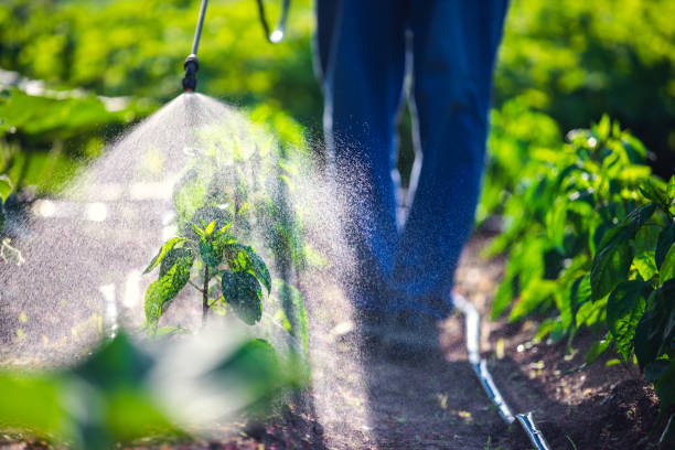 Pest Control for Warehouses in Candlewick Lake, IL